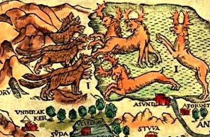 Карта 1539. 69. E-I. Скандия. Волки против Оленей
